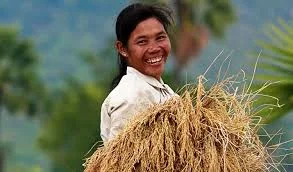 Kroomka - Kambodżańscy rolnicy po sprawdzeniu tabeli po 24 kolejkach