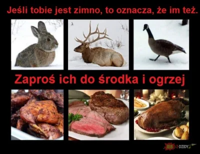 wielowitamin - Sieema #wegetarianizm i #veganmaze tutaj ##!$%@? życzy smacznego(｡◕‿‿◕...