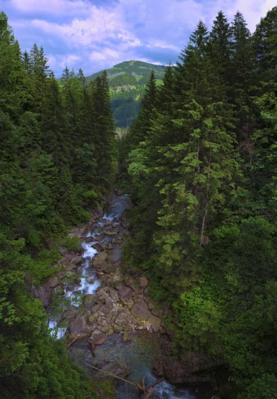 enemydown - Tatry w drodze na Morskie Oko. 

#earthporn #fotografia #mojezdjecie #t...