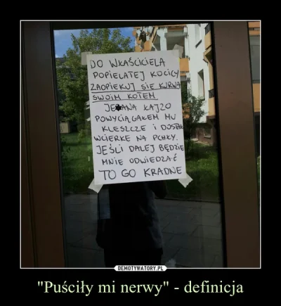 Python - #humorobrazkowy #koty #heheszki #demotywatory