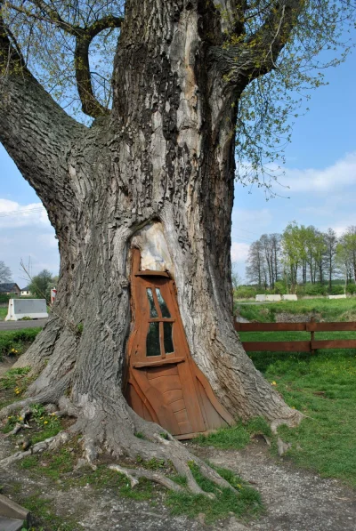 P.....l - Domek w drzewie ( ͡° ͜ʖ ͡° )つ──☆*:・ﾟ

Jest to domek wykonany w naturalnym...