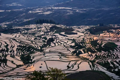 okonato - Tarasy ryżowe Yuanyang z prowincji Yunnan. Miejsce, które po prostu trzeba ...