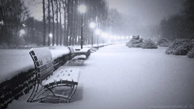 Focustoinfinity - Zimowy wieczór w #parkslaski

#fotografia #tworczoscwlasna #chorz...