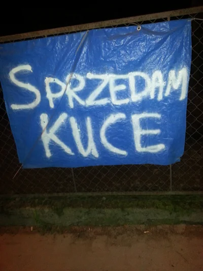 szczepan1990 - takie tam sprzed chwili 

#ogloszenie #kuce #sprzedam