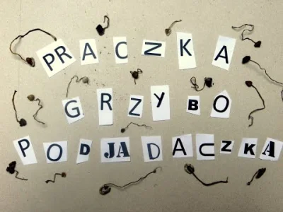 ShellshockNam92 - Bo mało ᶘᵒᴥᵒᶅ 
#grzyby #narkotykizawszespoko #grzybobranie