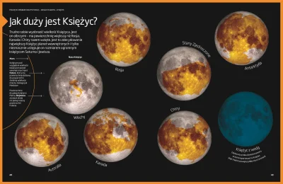 Lifelike - #nauka #astronomia #ksiezyc #ciekawostki #infografika #liganauki #gruparat...