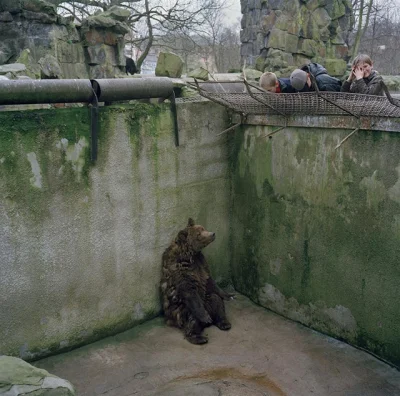 j.....n - Ogród zoologiczny w Kaliningradzie...
#zwierzaczki ##!$%@?