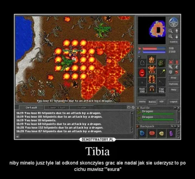 hewlettpackard - #tibia #nostalgia