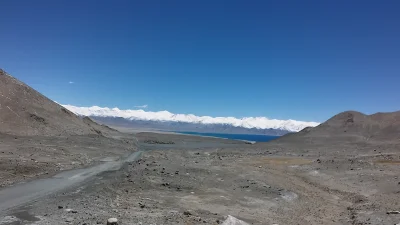 mpetrumnigrum - Zdjęcie zrobione na wysokości około 4600m n.p.m
Góry Pamiru.
Jedyna...