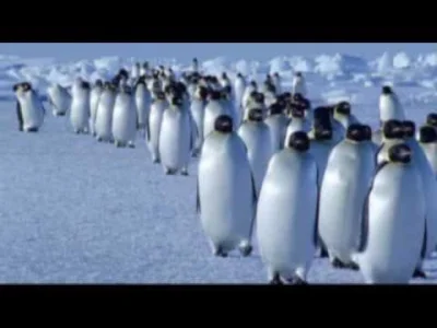 user48736353001 - Vangelis - Theme from Antarctica (1983)

Chciałem napisać coś o g...