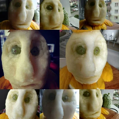 owlpic - #melon #rzezba #sztuka #PanHudzia

Niedzielna sztuka kulinarna w formie se...