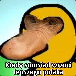 capybara_ - @AsuriTeyze 
#polak
