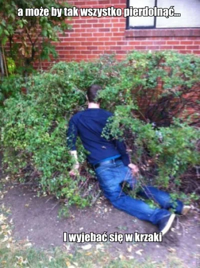 rifraw - Teraz powinna działać moja nowa konstrukcja memiczna ;) 
#postmemizm #hehes...