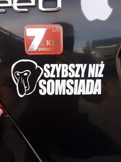 Kempes - #samochody #nosaczsundajski #polak #heheszki