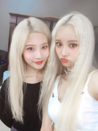 PanTward - #kimlip #jinsoul #loona #koreanka