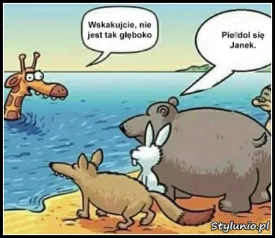 j.....n - #humorobrazkowy 
milutkie #zwierzaczki :)