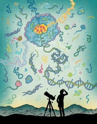 bioslawek - Biolodzy molekularni są jak astronomowie( ͡° ͜ʖ ͡°)


#biologia #nauka...
