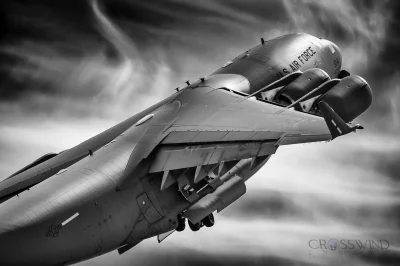 CanisLupusLupus - #aircraftboners #globemaster #takilepszyhesja