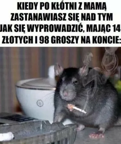 ziom404 - ¯\(ツ)/¯
#heheszki #humorobrazkowy