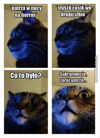 pieczarrra - ! #heheszki #humorobrazkowy #kot #koty #slunsk #slaskisuchar
SPOILER