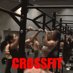 Strus - @gromwell: http://natemat.pl/49917,czym-jest-crossfit-w-warszawie-zapanowala-...