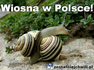 adios - . @Vinniczek szaleje

#wiosna