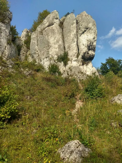 Alrauna - Ta skała jest jakaś creepy ヽ( ͠°෴ °)ﾉ #przyroda #gory #gorazborow