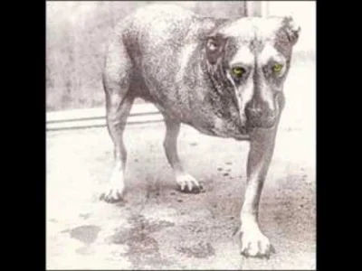 Limelight2-2 - Alice in Chains – Sludge Factory
Wersja koncertowa
#muzyka #90s #gim...