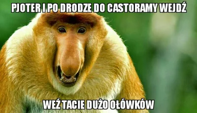 Zwardi - #humorobrazkowy #heheszki #nosaczsundajski
