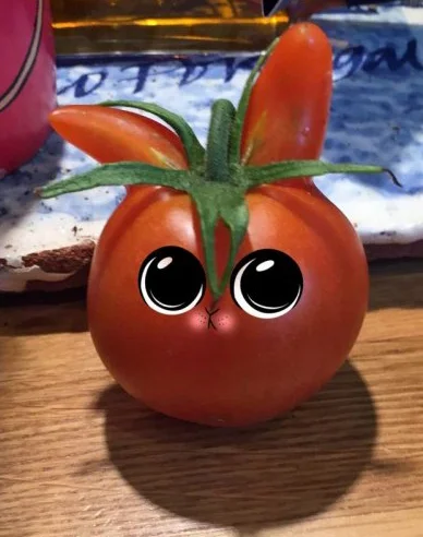 Kosciany - #pomidor
#pomidorek
#zootopia
#zwierzogrod