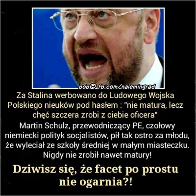 SynuZMagazynu - Podobno ten cały Schulz nawet matury nie ma #polityka #bekazlewactwa