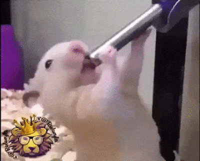 ifiruledtheworld - @marianoitaliano: