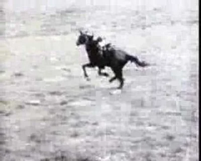 michelney - Kozacy i triki na koniach w XIX wiecznym slow motion

#konie #historia #c...