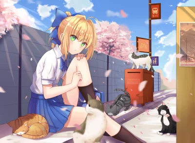 Pewpewpew - #randomanimeshit #fate #saber #sabernadzis #neko @Evil_Anon

Saber z sw...