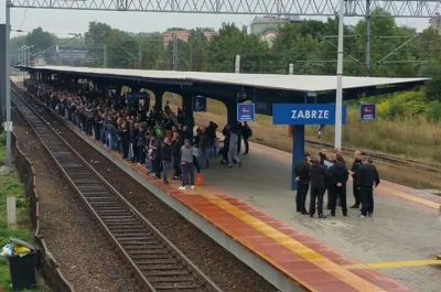 polik95 - Kibice Górnika już w drodze do Poznania
#kibole