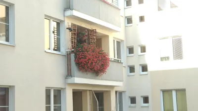 mortasmortas - Listopad, zima prawie, a sąsiadka ma balkon jak na wiosnę! ( ͡° ͜ʖ ͡°)...