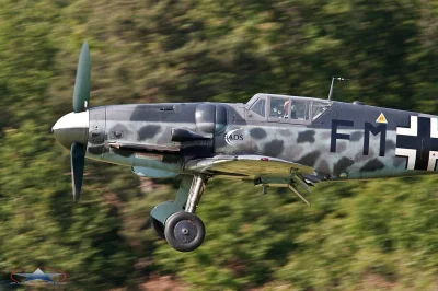 CanisLupusLupus - #bf109 #aircraftboners foto: J.M. Villalba