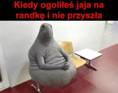 nemiroff90 - #heheszki #gownowpis #humorobrazkowy #p-----------------a #czarnyhumor