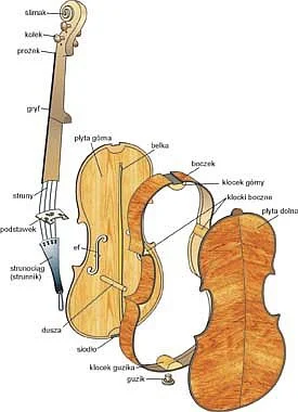 skrzypek_ - @PsichiX Dusza w skrzypcach akustycznych to kawałek drewna który przenosi...