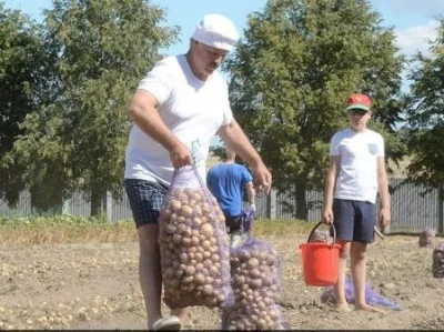 yolantarutowicz - Polskie media