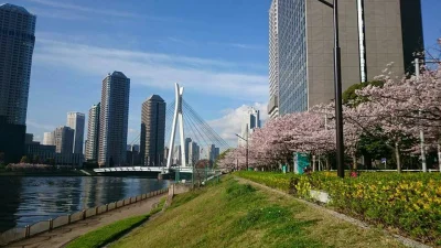 ama-japan - Dzień dobry 
#japonia #earthporn