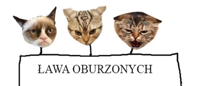 kotnaklawiaturze - Jestem oburzony ᕙ(⇀‸↼‶)ᕗ