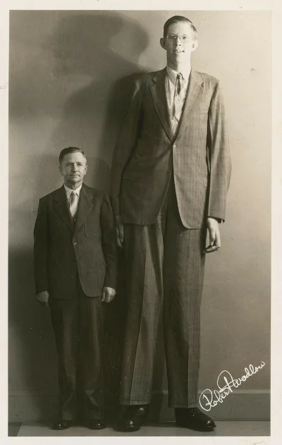 RoBee - Robert Pershing Wadlow (po prawej) na zdjęciu wraz z ojcem Haroldem Wadlow. 
...