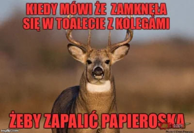 AaTar - #heheszki #humorobrazkowy