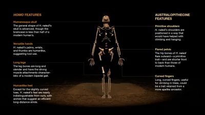 fir3fly - Kilka dni temu było głośno o odkryciu nowego gatunku hominina - Homo naledi...