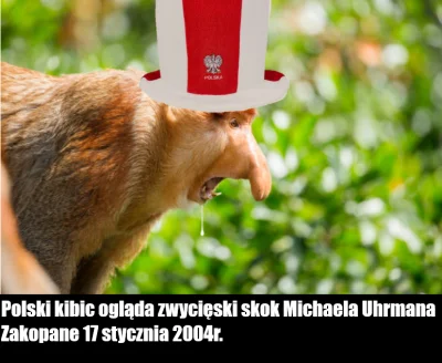 jedlin12 - Popełniłem mema
#skoki #heheszki #fakehistory #konkursnanajbardziejgownia...