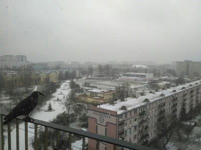 b4ko - Halo #przymorze #gdansk żyjecie? Pada śnieg!! :)