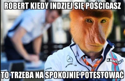 Kapitalis - XD
#kubica #f1 #polak