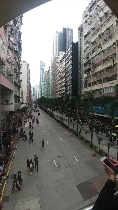 InformacjaNieprawdziwaCCCLVIII - Tak wygląda marsz 2 milionów ludzi

#hongkong #chi...