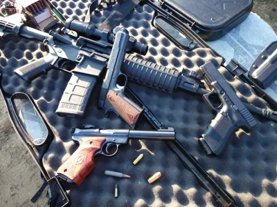Rogue - Kto dziś dobrze się bawił na strzelnicy i trafiał metalowe poppery z M1911 w ...